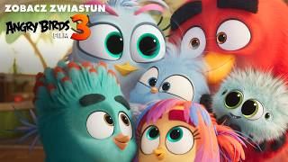 Angry Birds 3 Film - Zwiastun