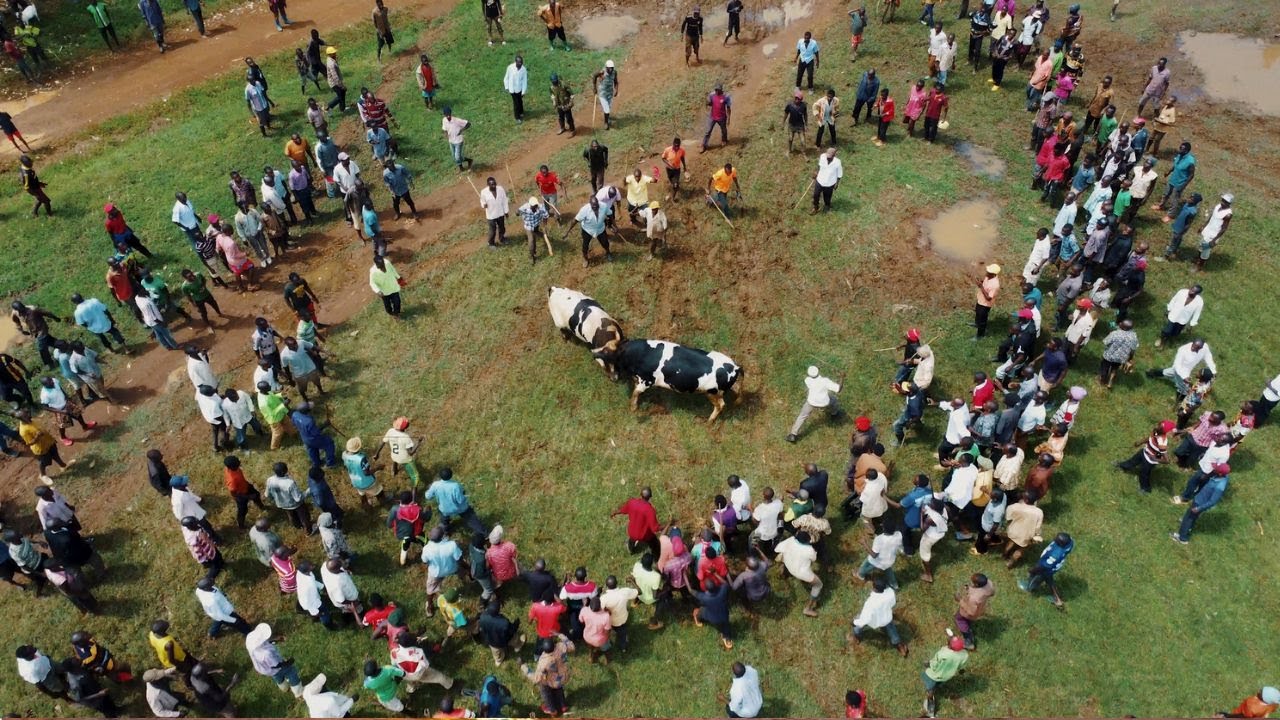 Il più grande evento di corrida a Mdale