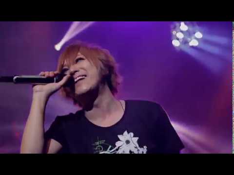 THE KIDDIE - emit. (LIVE)