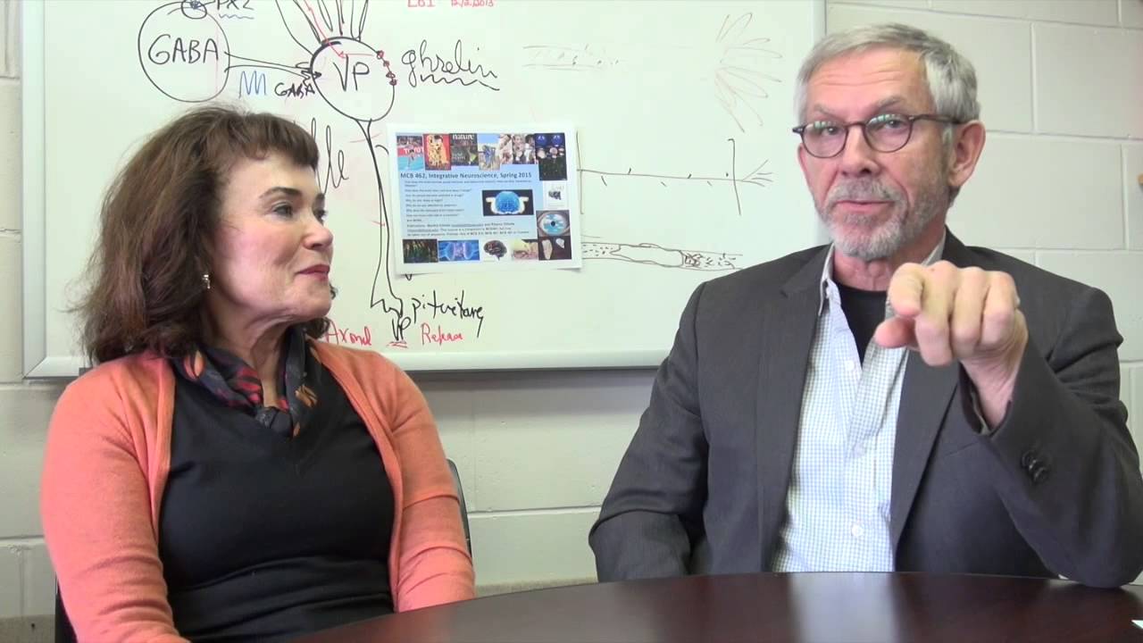 MCB/NEUR 462: Integrative Neuroscience