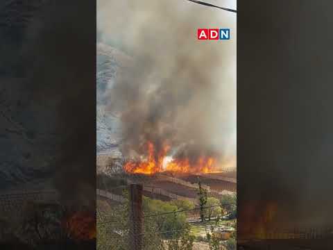 Senapred decreta alerta roja y evacúa el sector de Tres cruces Bajo en Paihuano tras incendio