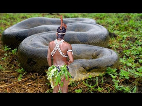 STRANGE Discoveries In The Amazon