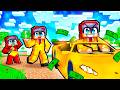 Cash S BIRTH To MILLIONAIRE In Minecraft