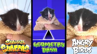 Download lagu Kitten Meows but in popular mobile games mp3