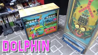 Repairing Chicago Coin's Beautiful DOLPHIN Flipper Pinball Machine - Never Seen This One Before
