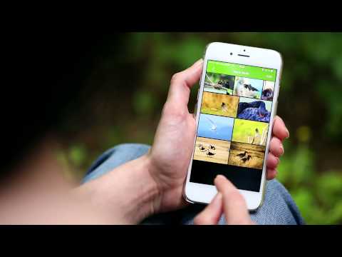 Видео Dreamstime