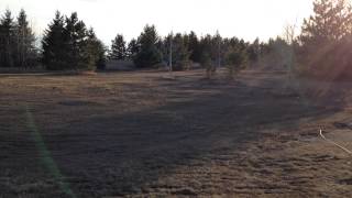 preview picture of video 'Future Site of Tawny Dog Park.'