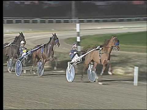 Trotto 19/02/2017 - 8ª corsa