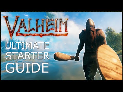 Your Ultimate Beginner's Guide to Valheim – 20 Essential Tips to Survive in 2025