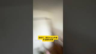 初めての外食チャレンジ #赤ちゃん