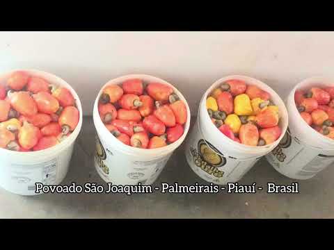 Povoado São Joaquim - Palmeirais - Piauí 