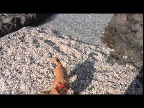 20 12 2014 PLAYA D LOS MUERTOS