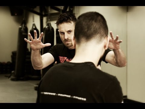 The Fundamentals of Krav Maga - Fighting Stance and Self Defense Tactics w/ AJ Draven