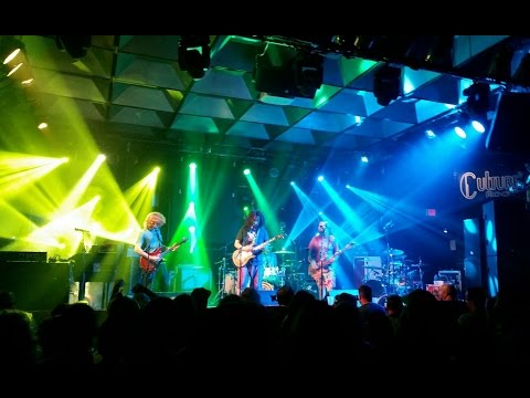 Pigeons Playing Ping Pong "Julia" Culture Room, 10-8-2016