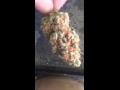 Ice Cream Haze marijuana strain