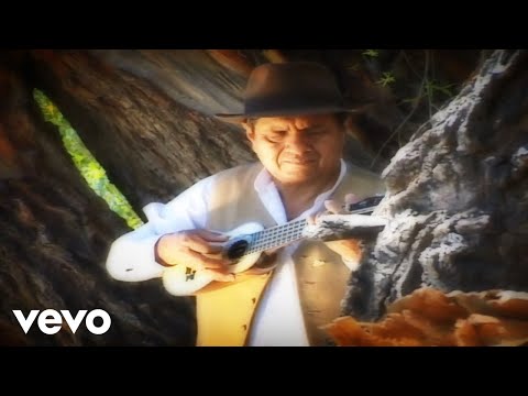 Alfredo Coca - Selección de Bailecitos