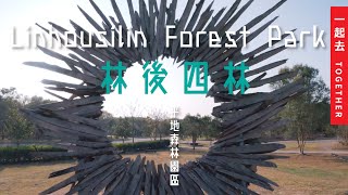 林後四林｜平地森林園區