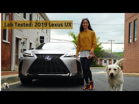 2019 Lexus UX 250h F Sport: Andie the Lab Review! Video