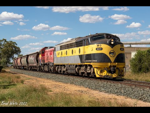Grain Trains in the Central Goldfields: SSR's 9098 from Elmore & PN's 7934V from Speed- 8/2/22