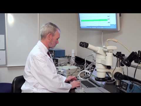 Empowered Health SE02 EP24 - Chiropractors