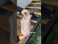 Угги замшевые зимние 587018 Бежевые Відео
