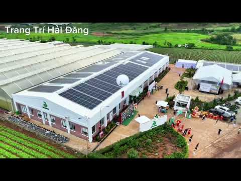 Cho Thuê Bóng Khí Cầu Tại Đức Trọng Lâm Đồng
