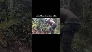 Download lagu JOGET ANAK PAPUA 😃 #dance #shorts #shortvideo #youtube #youtubeshorts mp3