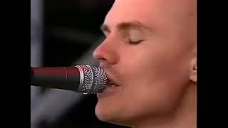 Music video thumbnail preview for Zwan - For Your Love by Zwan