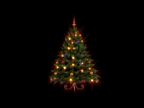 Don't Buy the Second Christmas Tree | Decorated Christmas Tree Window Projection Loop