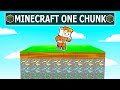 Minecraft But Its ONE CUSTOM CHUNK