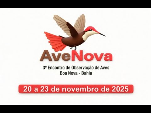 AVENOVA 2025 -TERCEIRO ENCONTRO DE OBSERVADORES DE AVES - BOA NOVA-BAHIA 23/11/2025 (ENCERRAMENTO)