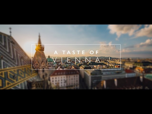 Webster Vienna Private University video #4