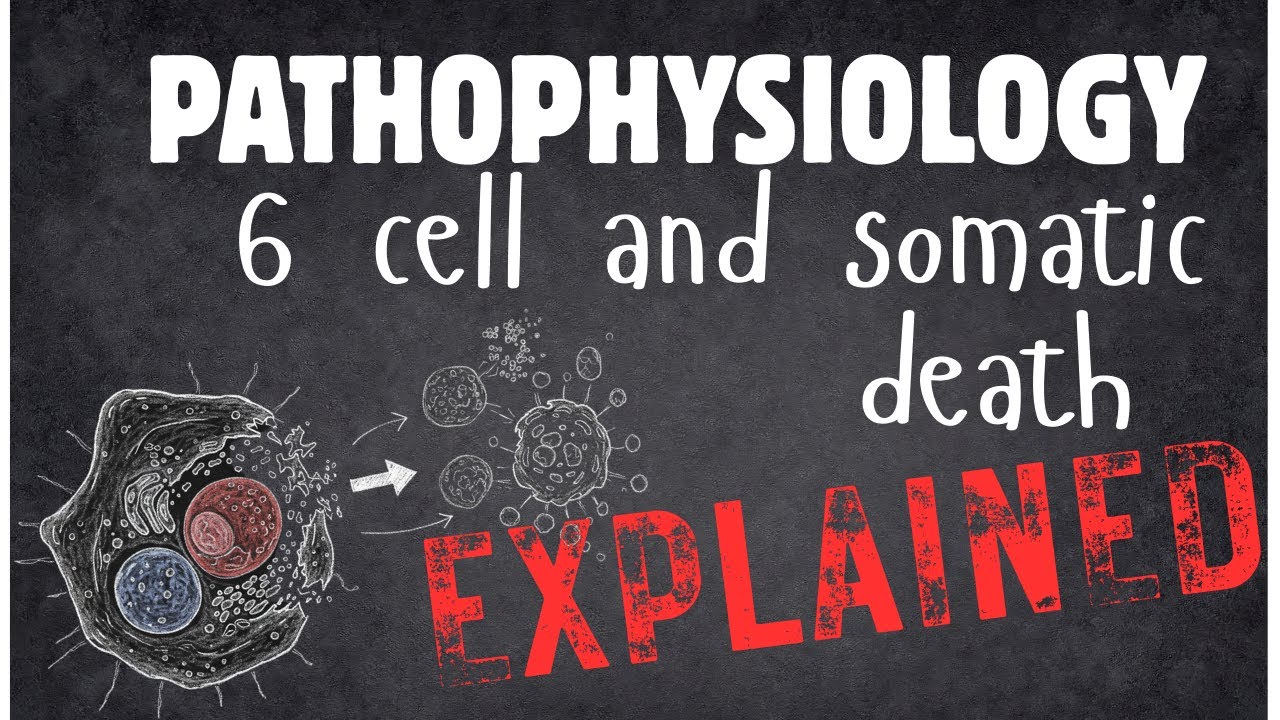 Pathophysiology 6 cell and somatic death 2) - YouTube