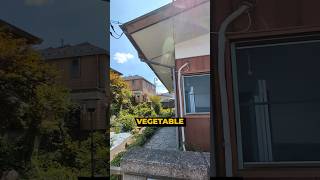 Download lagu This House Near Tokyo Comes with a Spacious Garden 🏠 #shorts #japan mp3 Download lagu This House Near Tokyo Comes with a Spacious Garden 🏠 #shorts #japan mp3