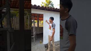 Tem coisa mudando por aqui… 👀🐄#shorts #shortvideo #song #short #shortsfeed #subscribe #shortsvideo