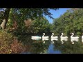 Swan Boats on Pleasure Lake in Roger Williams Park