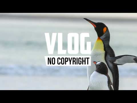 Sunbalt - Pacific (Vlog No Copyright Music)