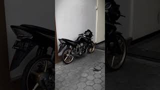 Download lagu story'wa cinematic Tiger herex #shorts mp3 Download lagu story'wa cinematic Tiger herex #shorts mp3