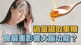 31 .《肥者生存》第六集：過量攝取果糖會嚴重影響大腦功能？