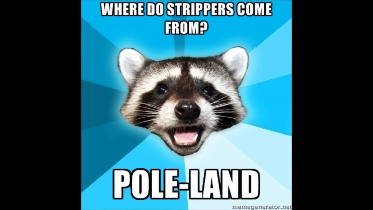 Lame Pun Coon Meme