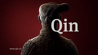 qin tv spot