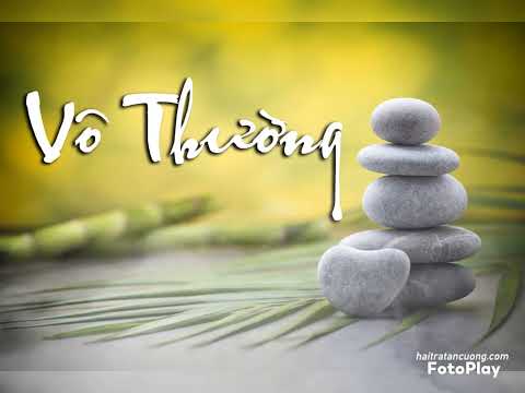 Vô thường - Tố Mai