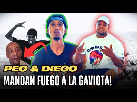 LAST MESSAGE TO THE SEAGULL! "YOU'RE A DEMAGOGO!"😱