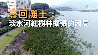 [問卦] 紅樹林大屠殺