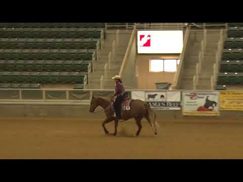 170923 Terri Taffer on FS Lightn Up Gunner Rookie