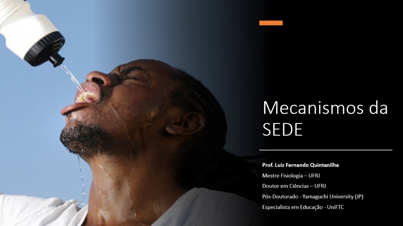 Mecanismos da sede