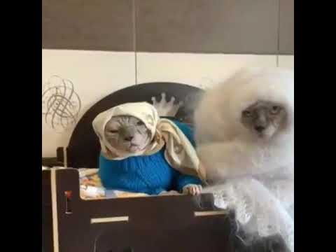 Доброго дня! Хорошего настроения!