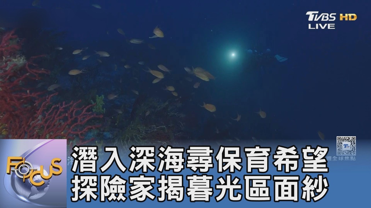 潛入深海尋找保育希望 探險家揭開暮光區面紗