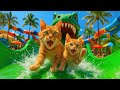 Mama Kucing Mengejutkan Anak Kucingnya Dengan Perjalanan Ke Taman Air Dinosaurus Kisah Kuc