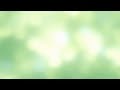 Dalmatian- The Romantic (Acoustic Ver.) lyrics ...